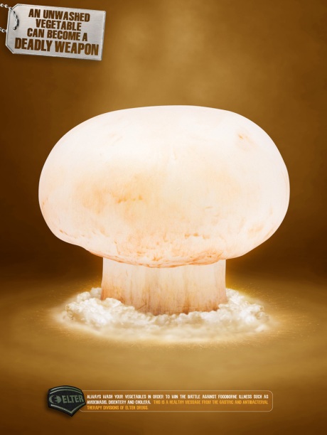 elter-mushroom